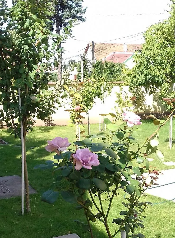 Apartmán Aranyoshaz-Vendeghaz Budapešť Maďarsko