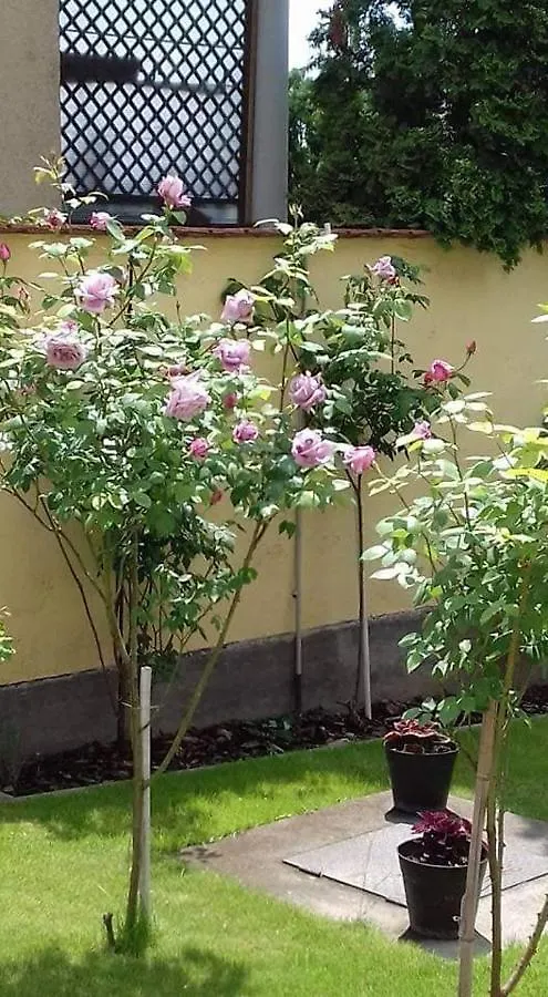 Apartmán Aranyoshaz-Vendeghaz Budapešť Maďarsko