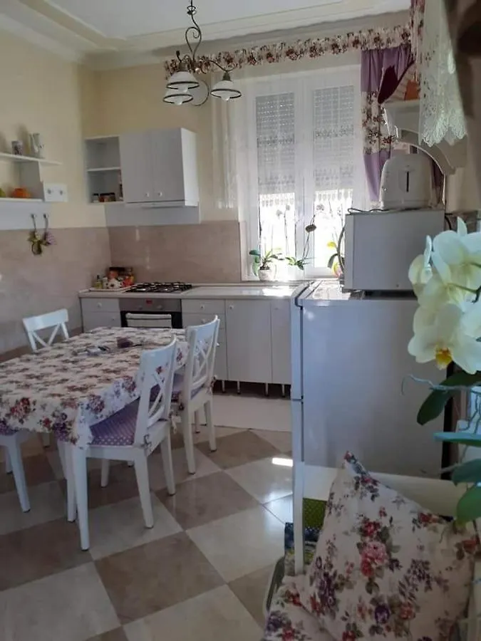 Aranyoshaz-Vendeghaz Apartment Budapest