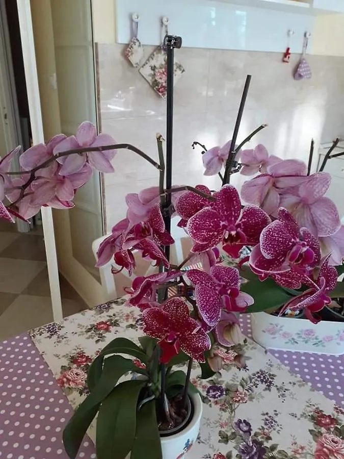Aranyoshaz-Vendeghaz Apartment Budapest