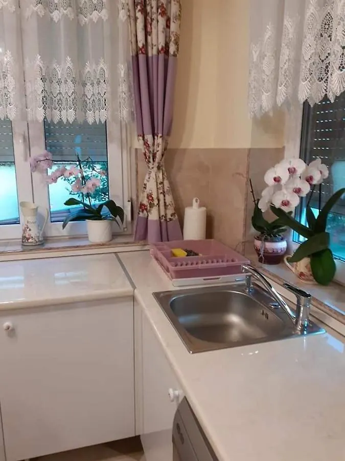 Aranyoshaz-Vendeghaz Apartment Budapest Hungary