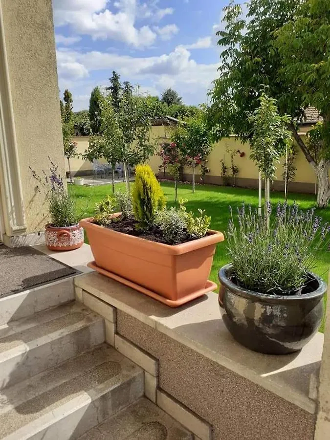 Aranyoshaz-Vendeghaz Apartment Budapest