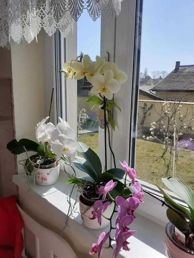 Aranyoshaz-Vendeghaz Apartment Budapest